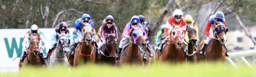 Tips for Ascot 21st January